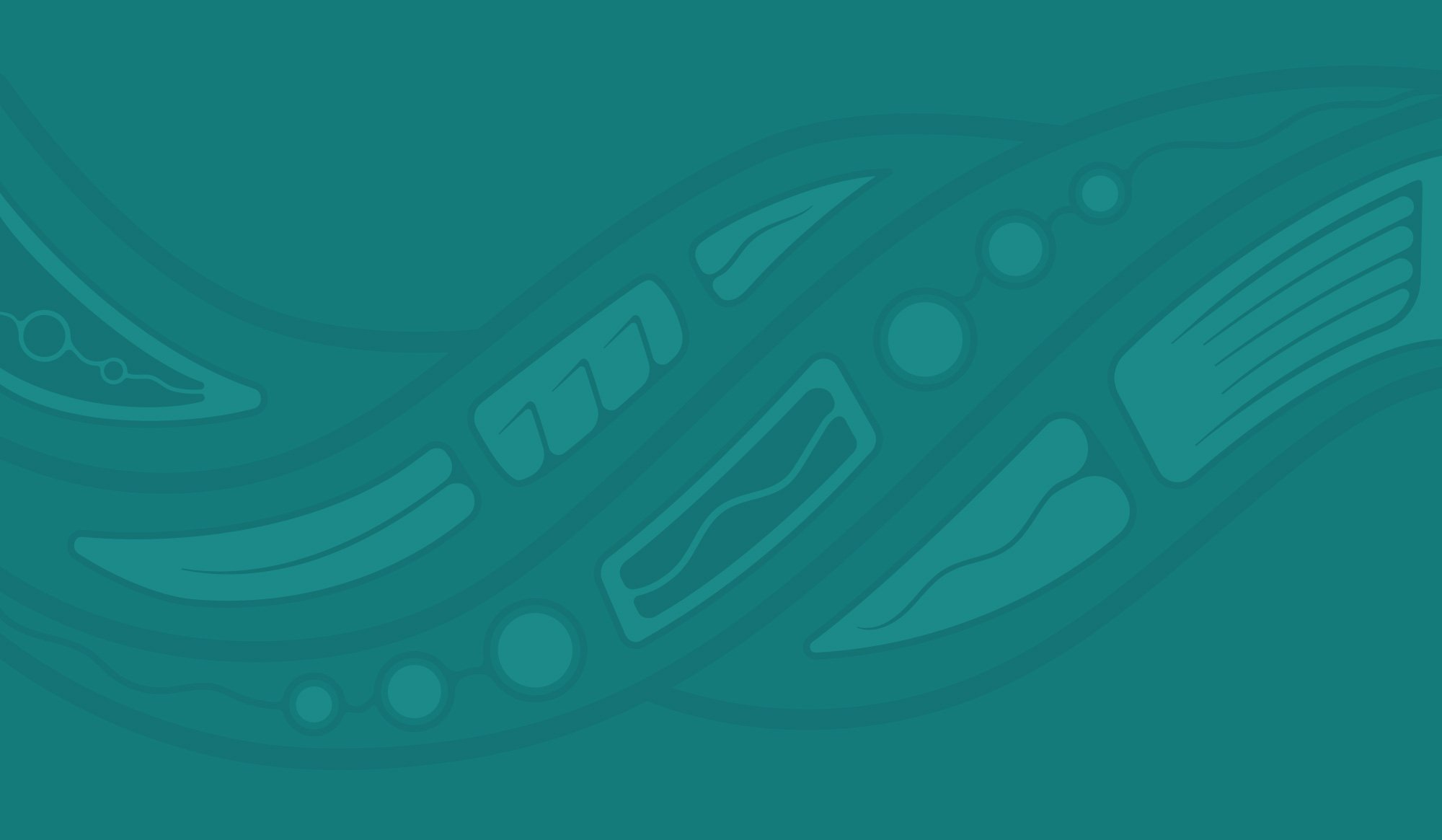 How to Negotiate with Indigenous Peoples course pattern