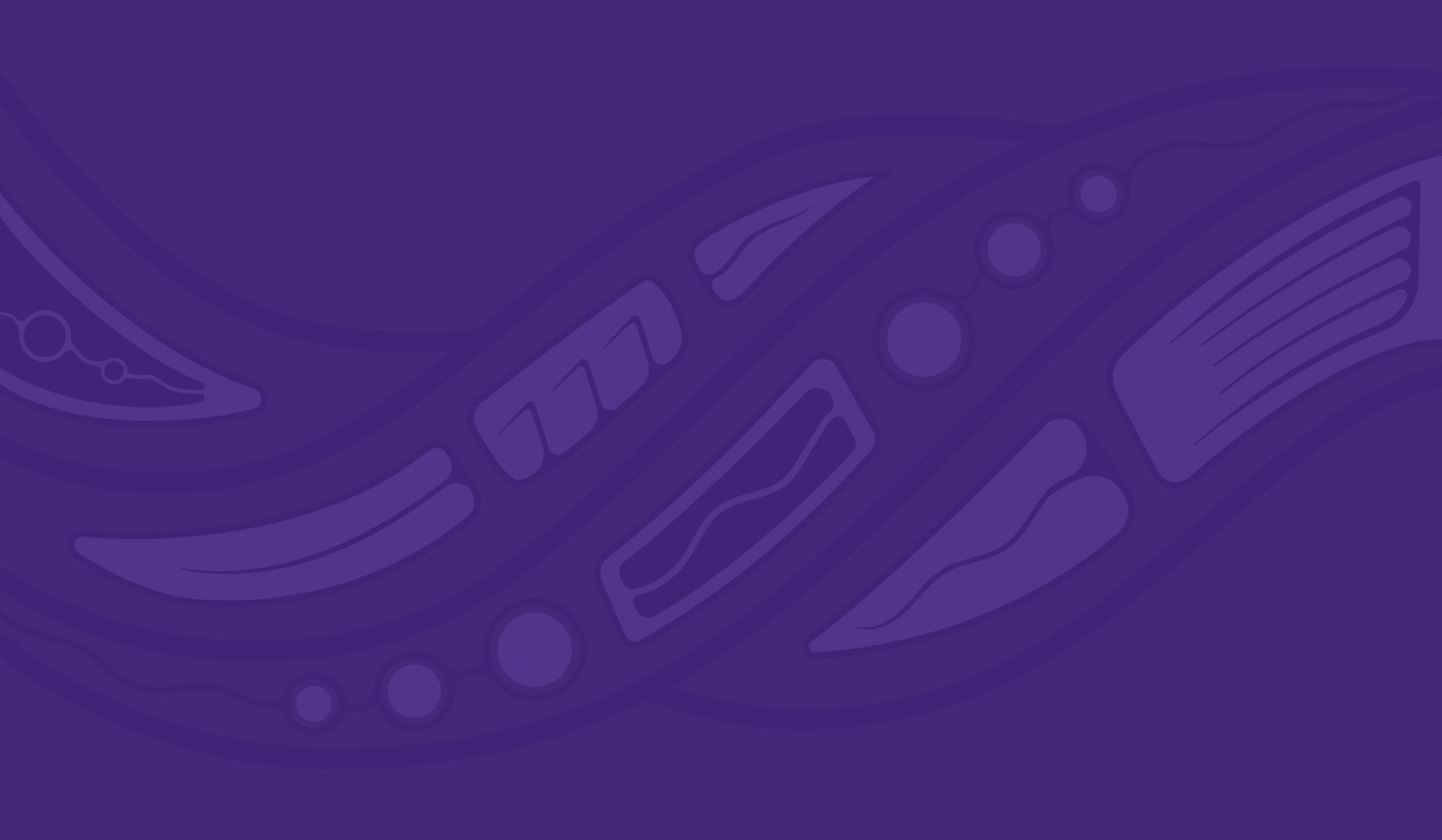 Indigenous Employment: Recruitment & Retention course pattern