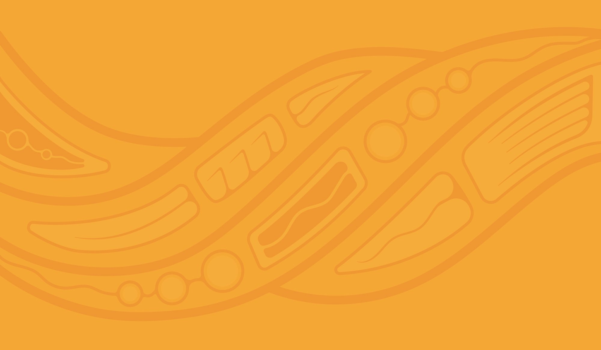 Indigenous Relations for Local Governments course pattern