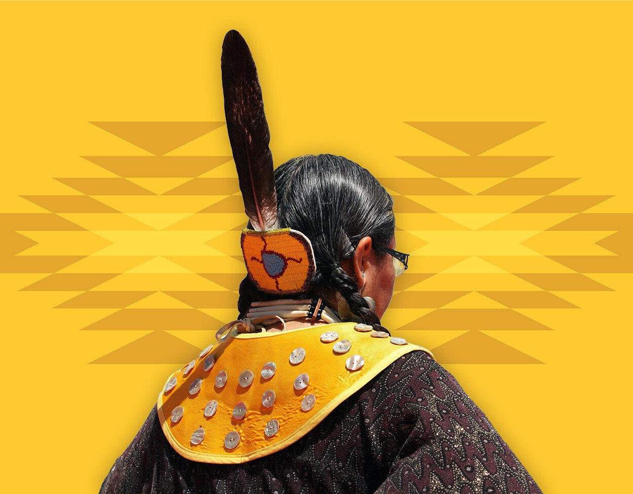 Indigenous Awareness: United States course image