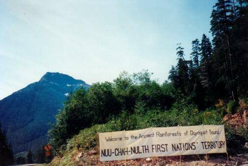 Banner of the Nuu-Chah-Nulth First Nations' People, the original inhabitants of the Clayoquot Sound area. Photo: I, Ademoor, CC BY-SA 3.0.