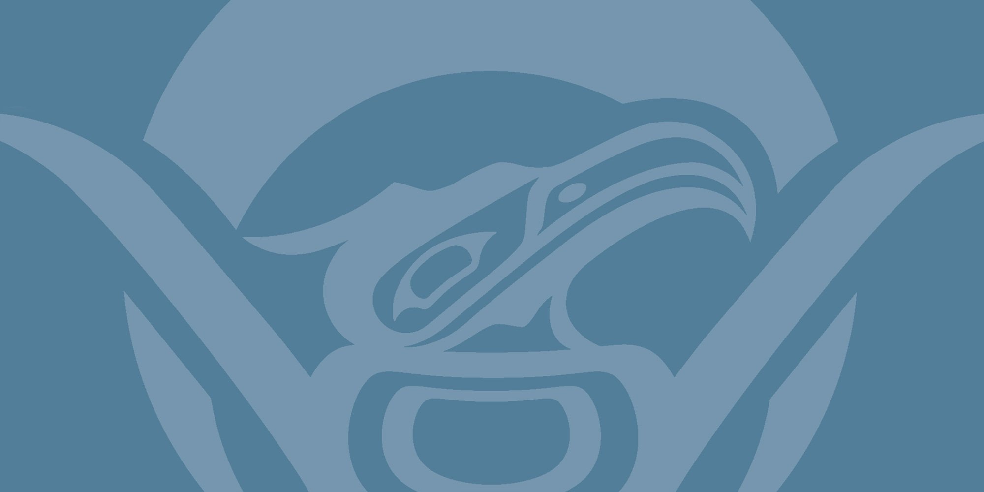 First Nations Health Authority logo