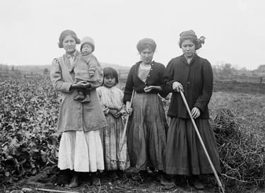 Maliseet (Wulustukwiak) women and children in a potato field in Woodstock, NB, 1912. Photo: Topley Studio / Library and Archives Canada / PA-010755