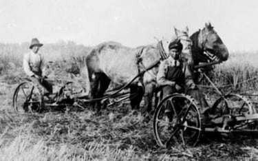 Two boys cutting hay with two teams of horses, St. Michael's Indian Residential School, Duck Lake, Saskatchewan, unknown date - PA-044563