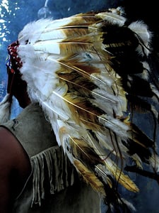 Indigenous headdress