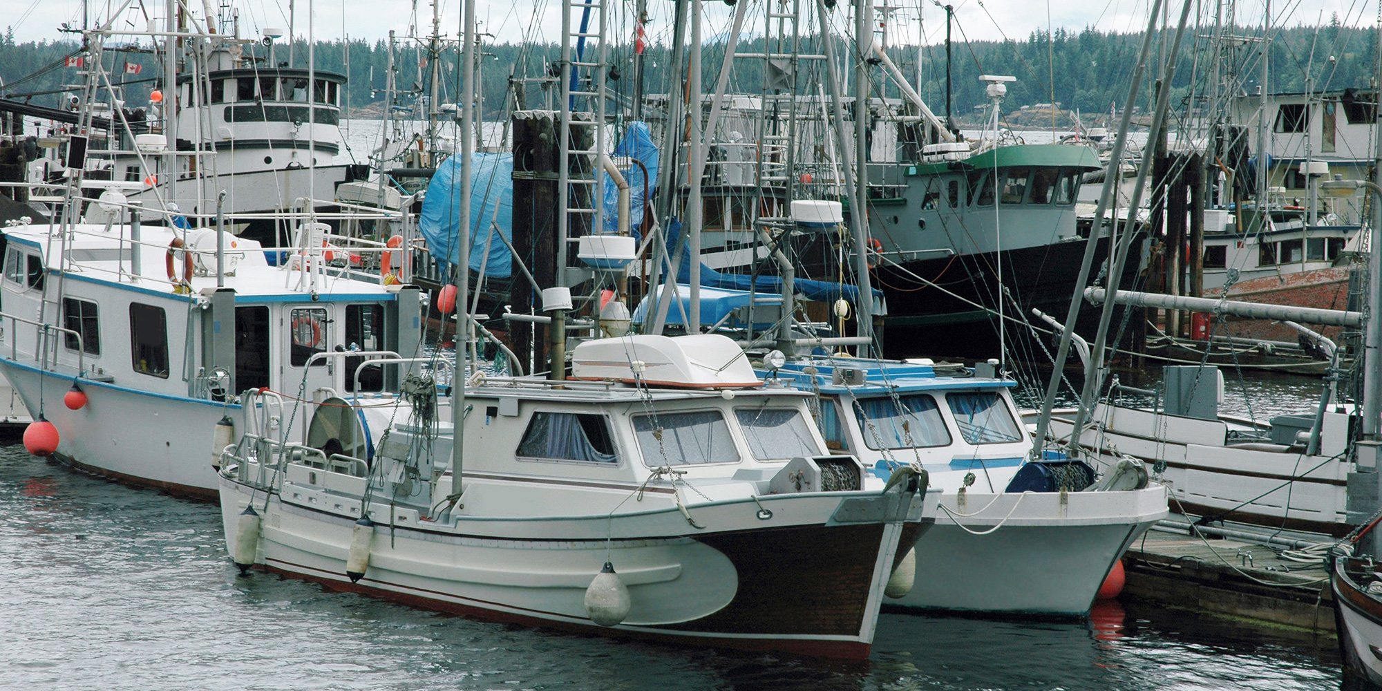 fishing boats