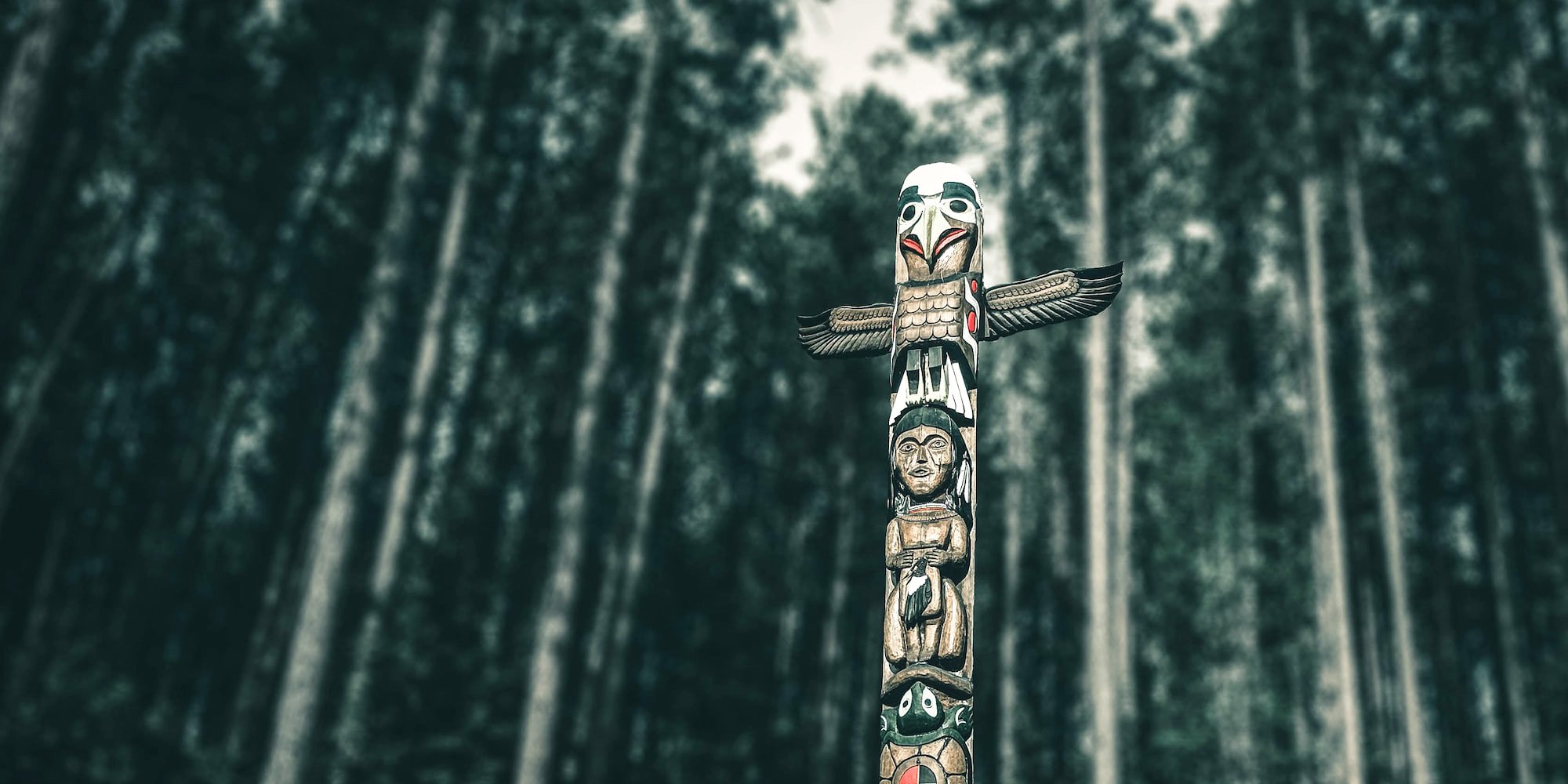 totem in Algonquin Park, ON, Canada