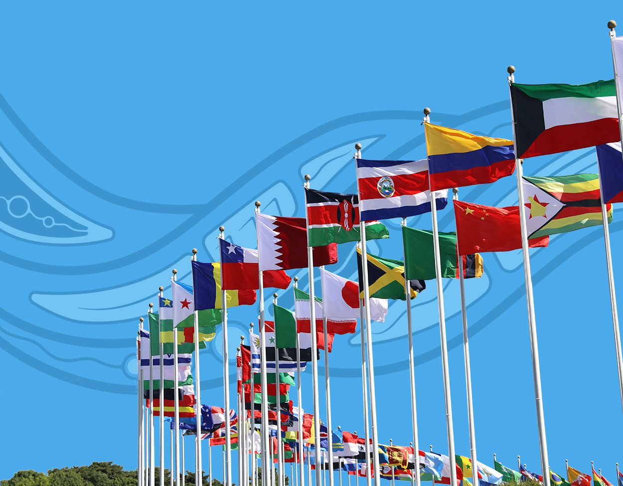 Working with the UN Declaration on the Rights of Indigenous Peoples