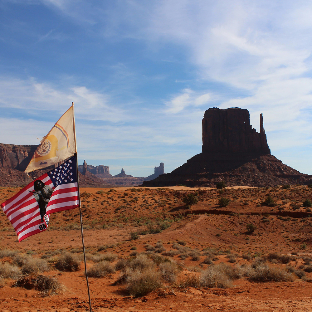 IRUS_IntroImage_Square