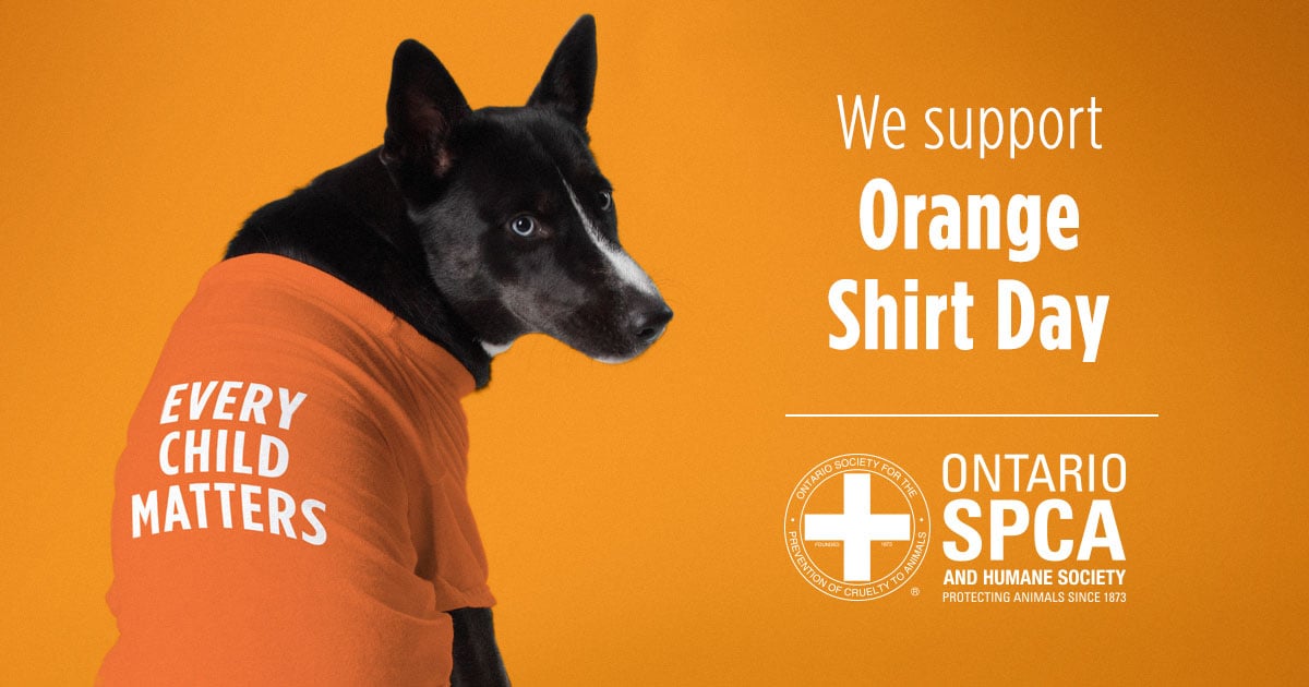 ONT SPCA Orange Shirt Day