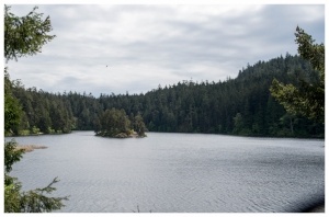 indigenous-connectivity-635868-edited.jpg