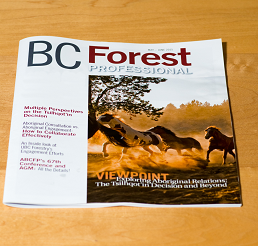 Forestry after Tsilhqotin