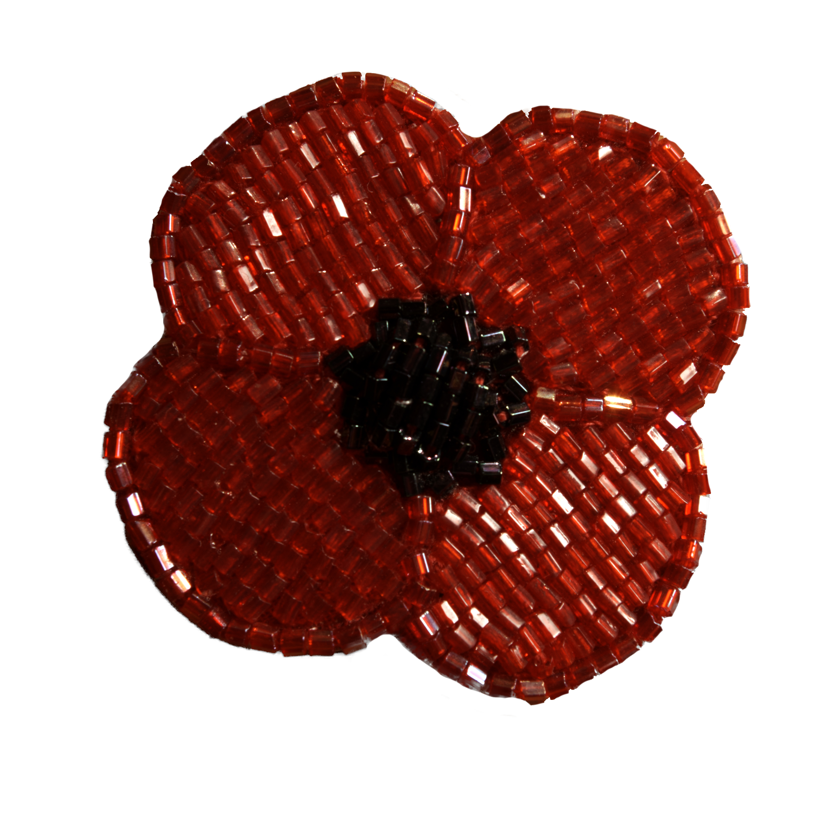 14 Facts You May Not Know About Contributions of Indigenous Veterans