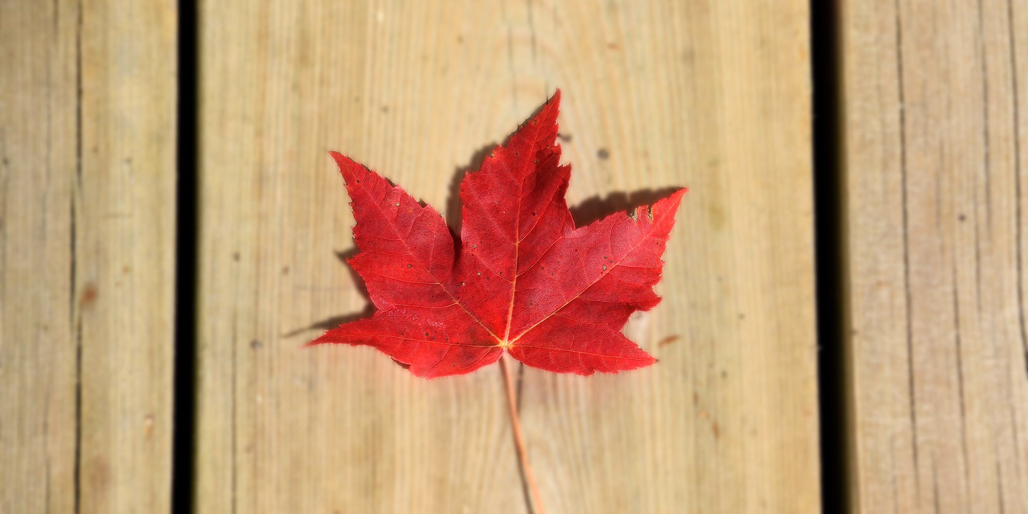 A Look at Indigenous Relations in Canada for 2018 and Beyond