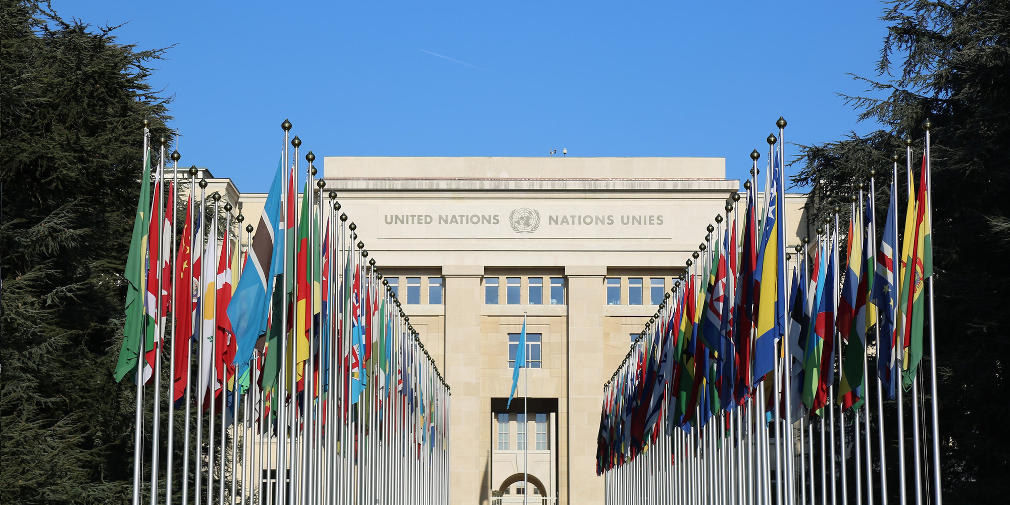 flags in front of the UN building