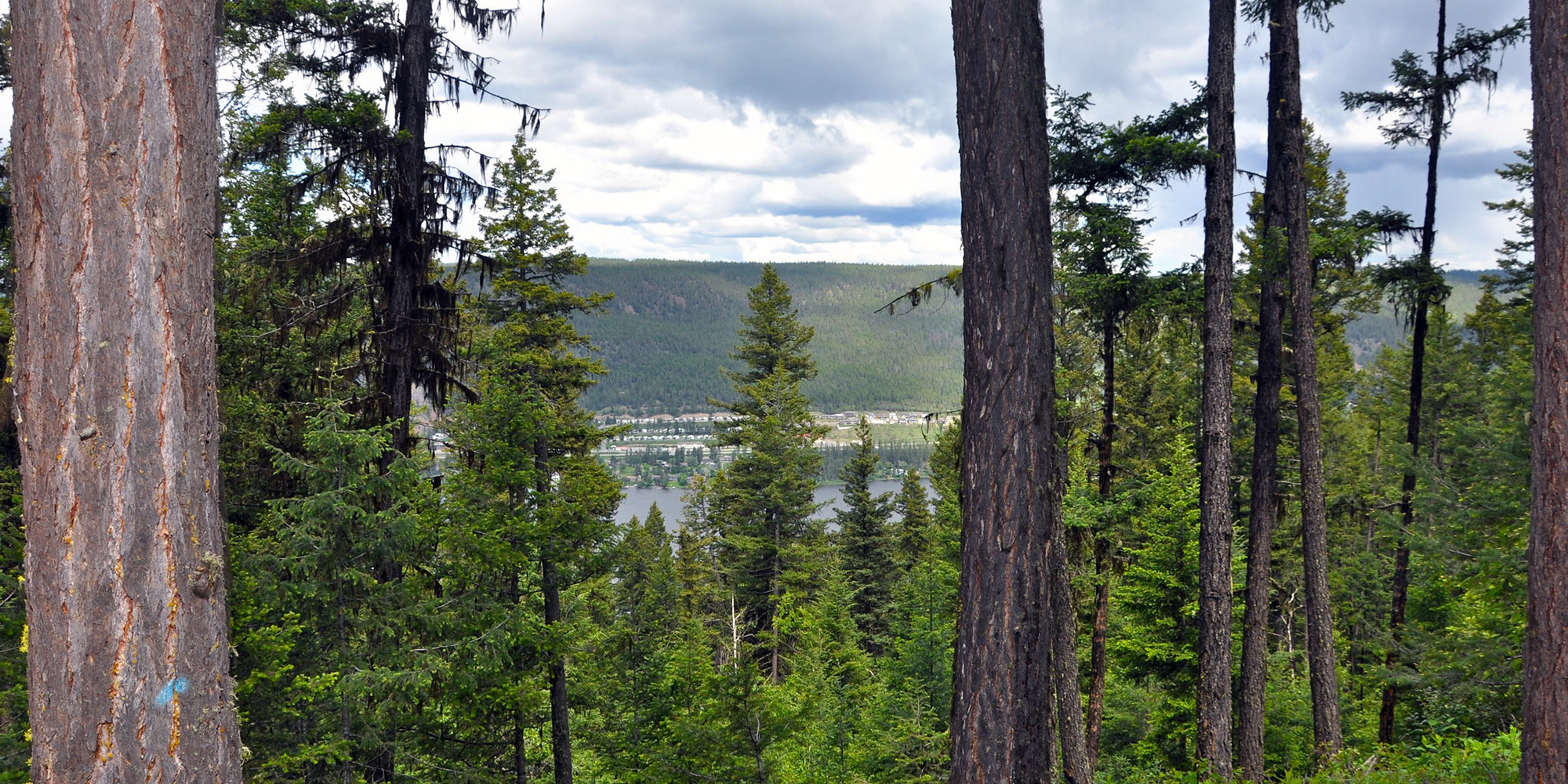 Williams Lake. Photo: Christine Alder, Flickr