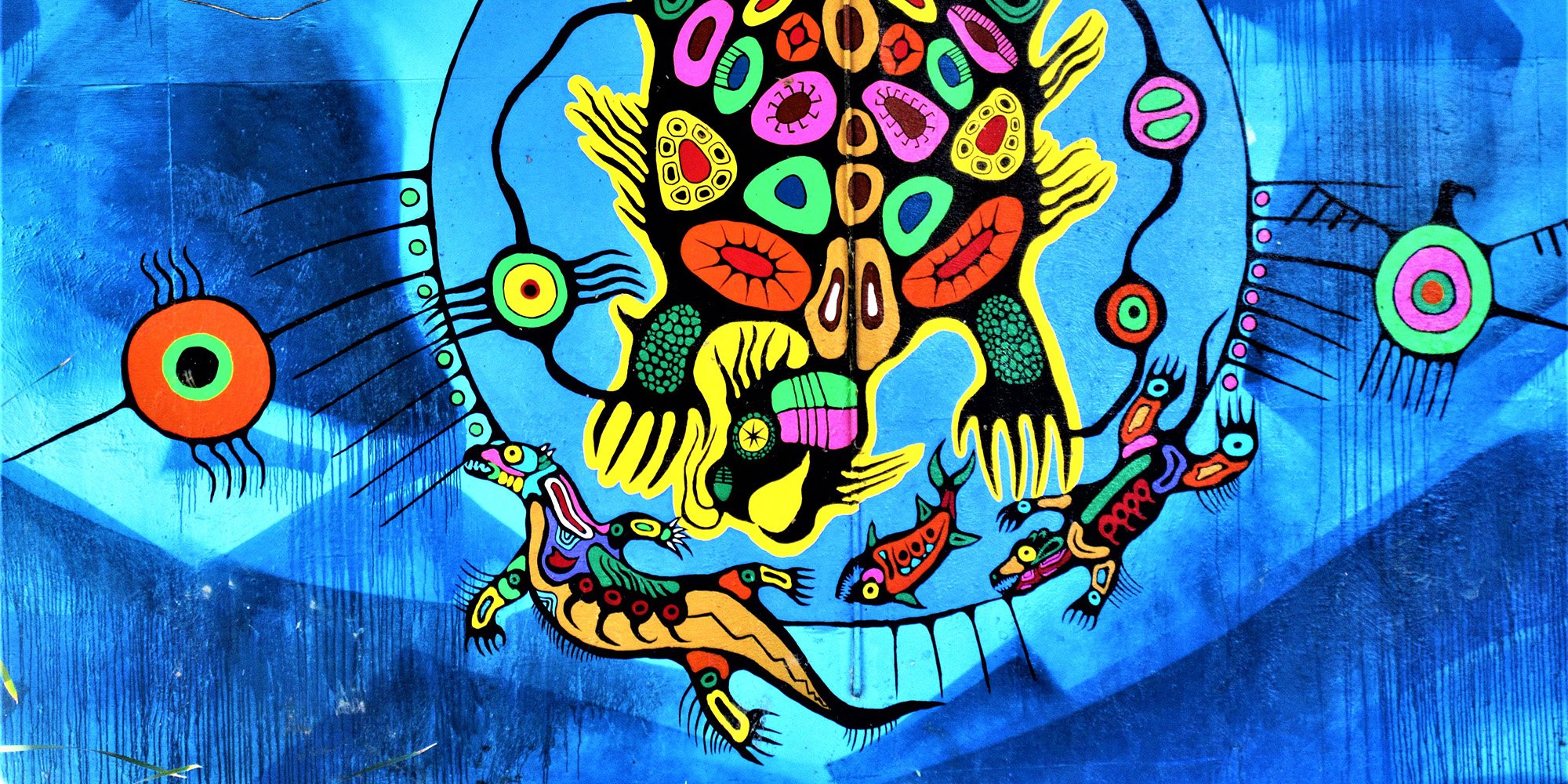 Turtle Island - Creation. Artwork. Photo: Flickr, monchotoronto.