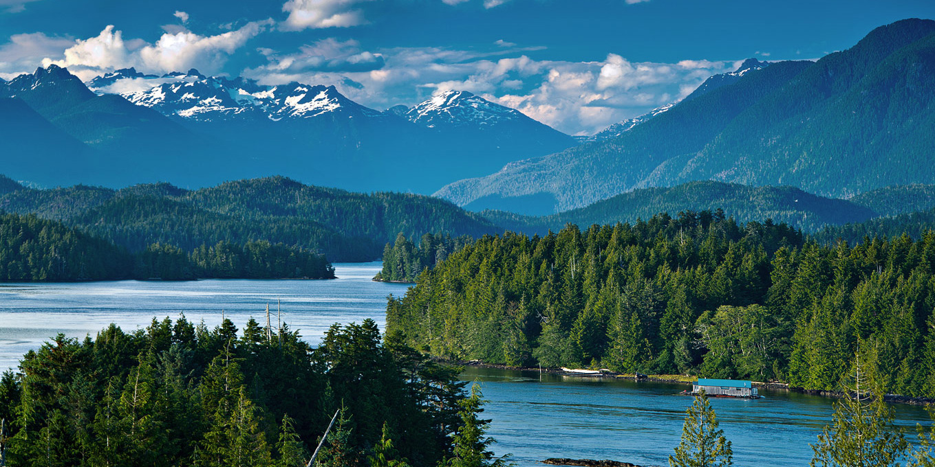 view of mountains and forests