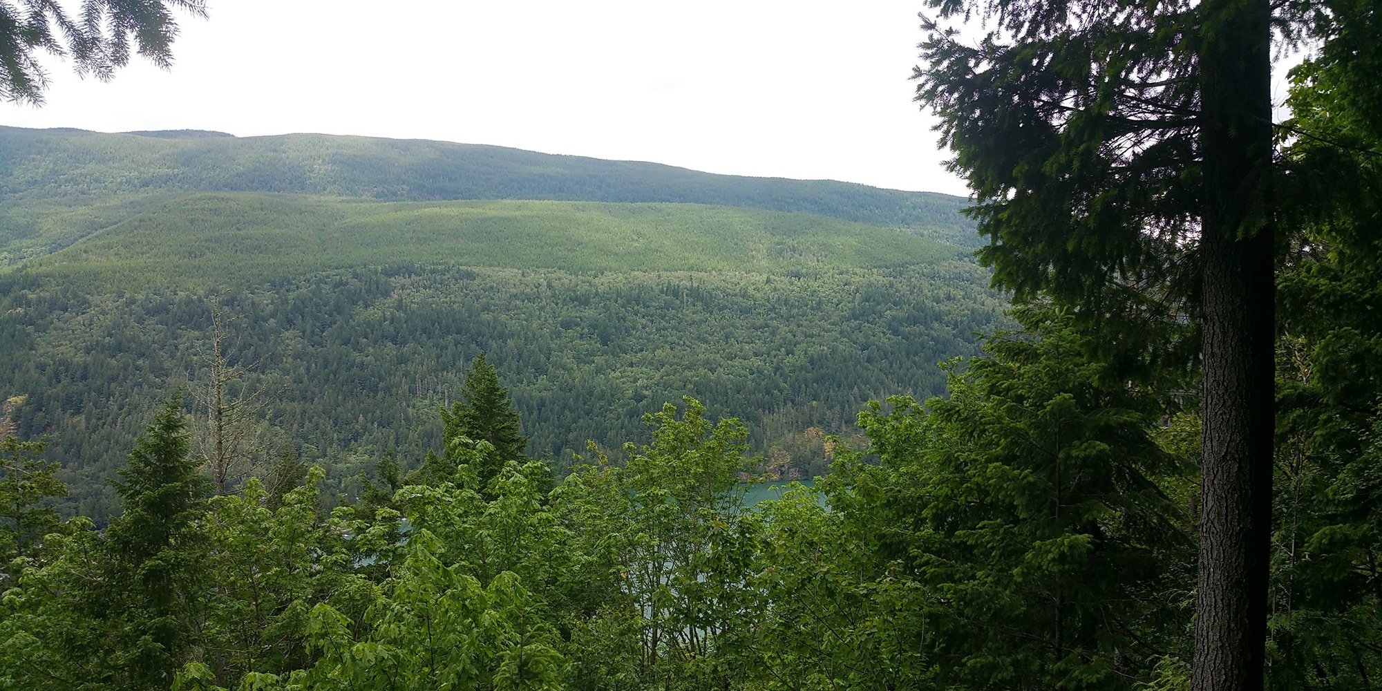 lake trees and hill