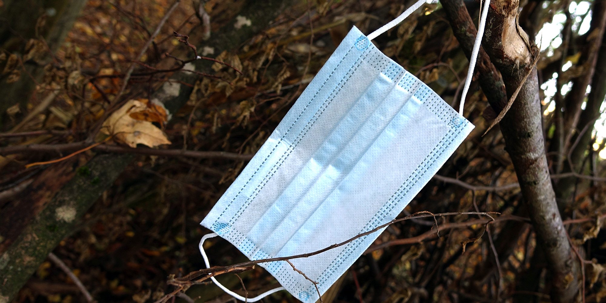 COVID medical mask hanging from a tree