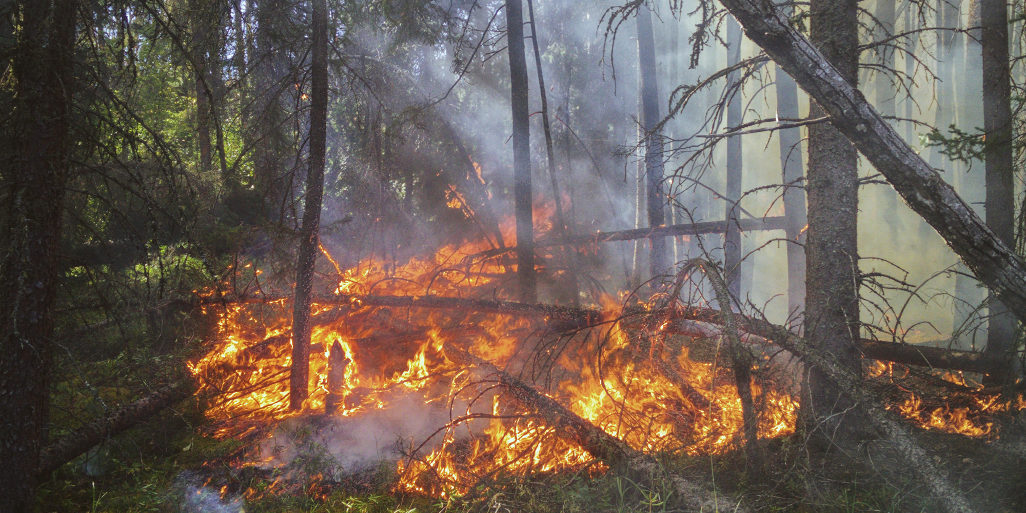 forest fire, Saskatchewan