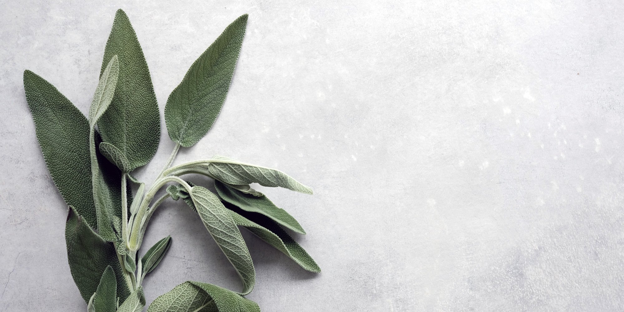 sage leaves on marble