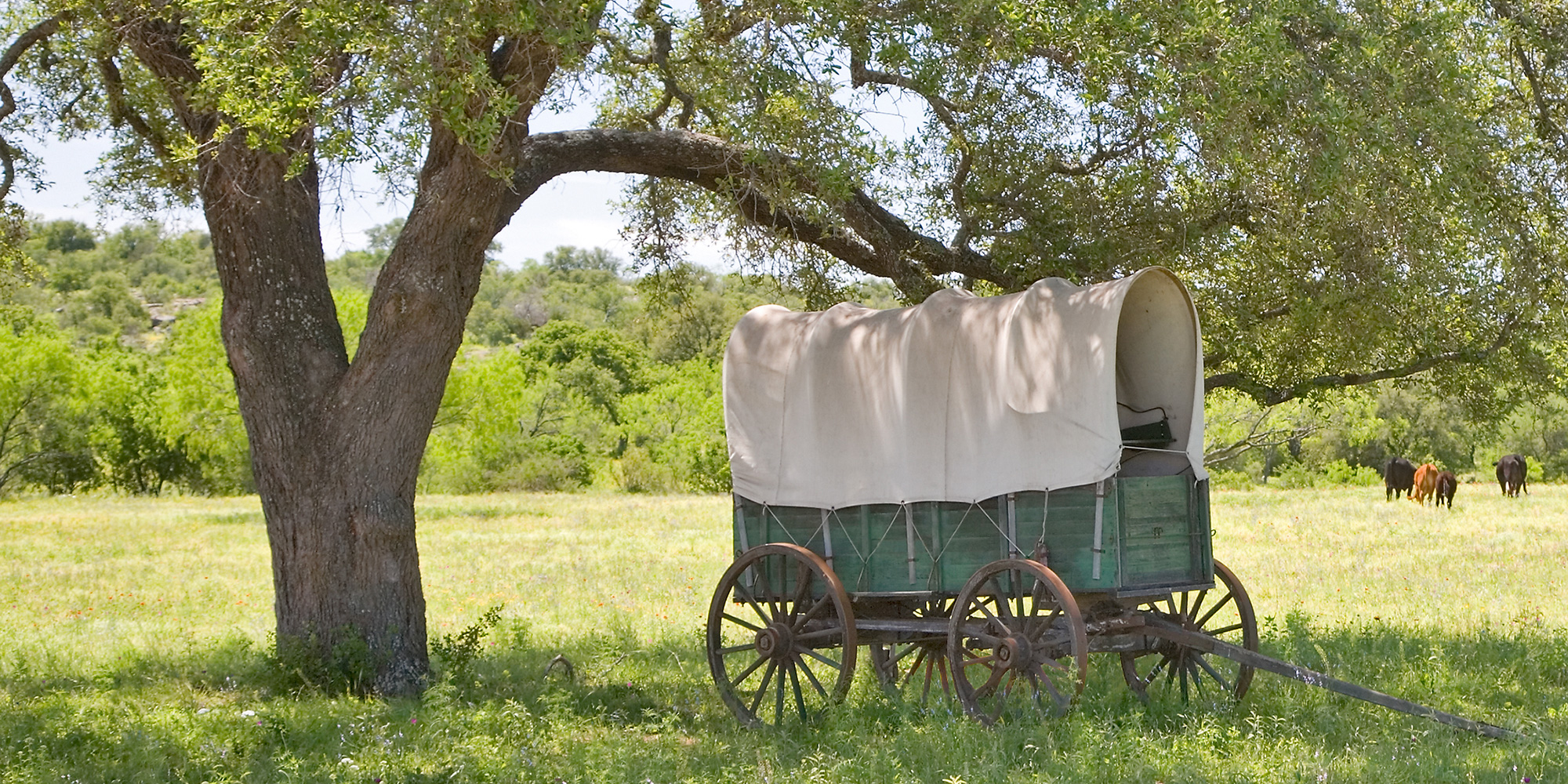 covered wagon