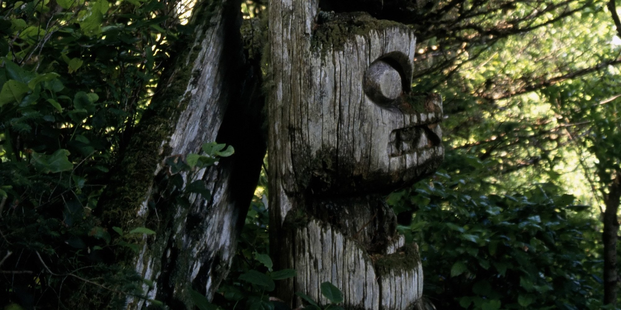 aging totem pole