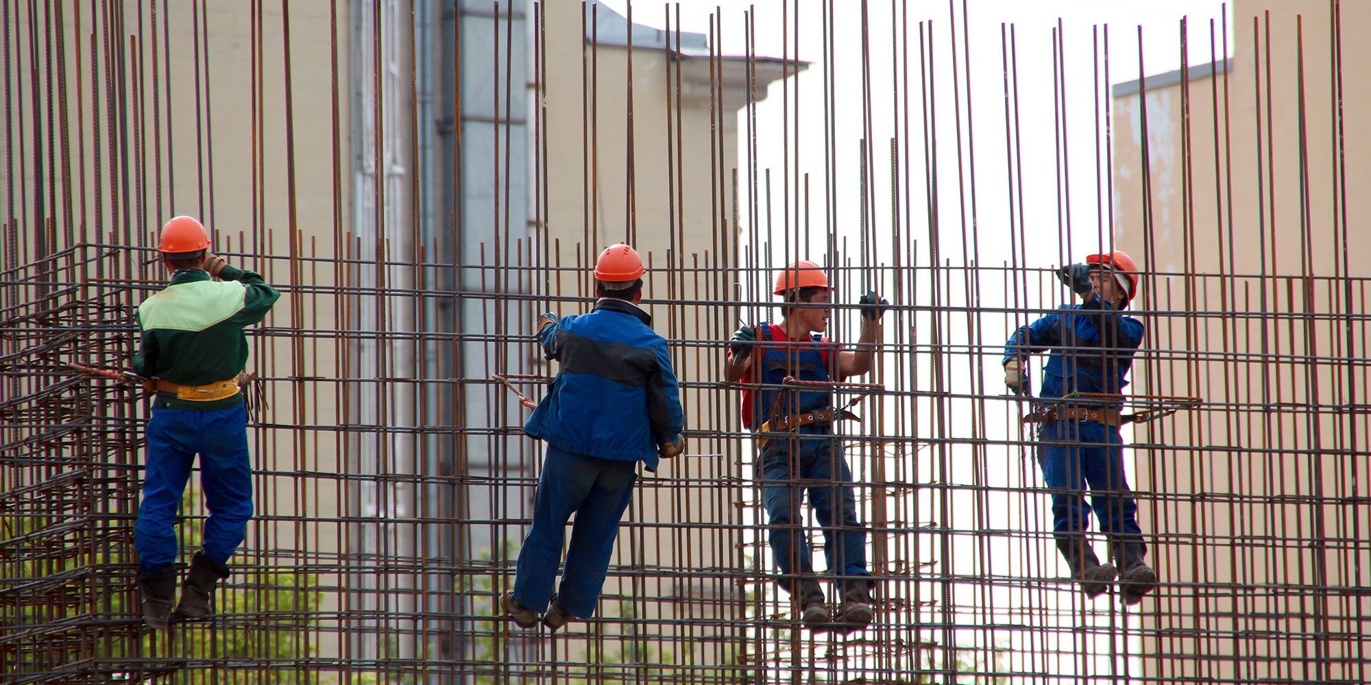 A Glance into Indigenous Incomes and Labour Force Representation