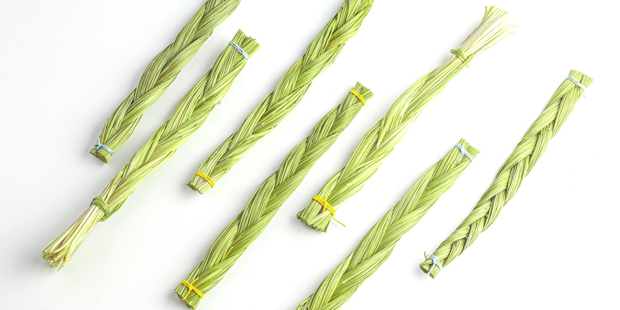 Simple Ways to Identify Sweetgrass: 10 Steps (with Pictures)