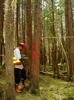 First Nation Forestry - Capfor