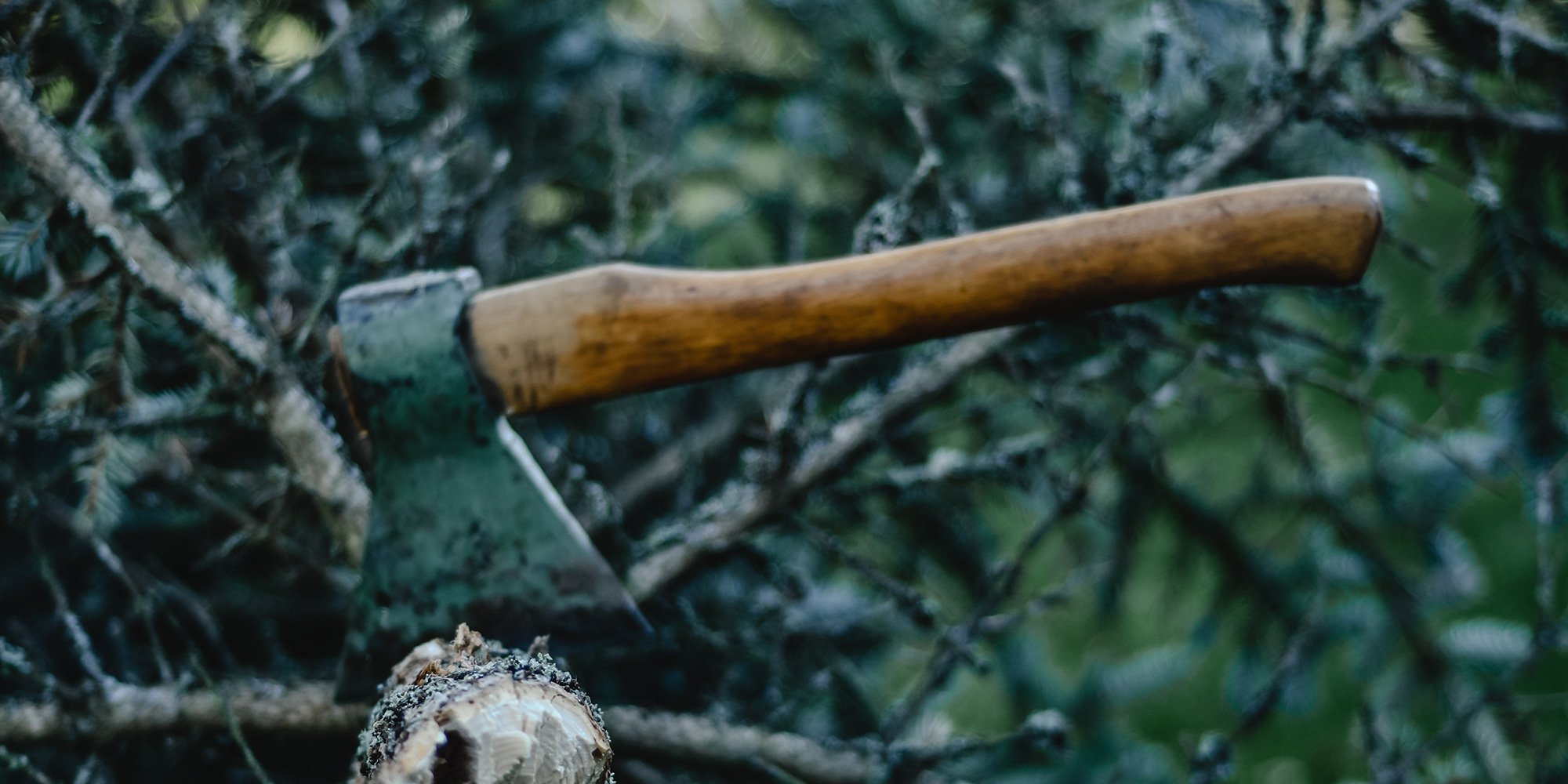 hatchet in tree trunk